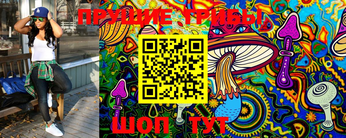 Псилоцибиновые грибы Magic Shrooms  Вход с VPN  Выкса  Галлюциногенные грибы Cubensis 
